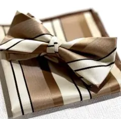 Item thumbnail for item 05ae1345-f3d2-49b2-b793-6f5c38e08853