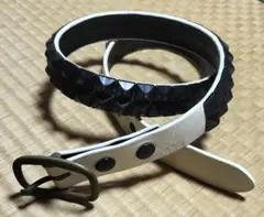 Item thumbnail for item 9866f78b-0aad-4a6d-a1fa-00916cb1a33a