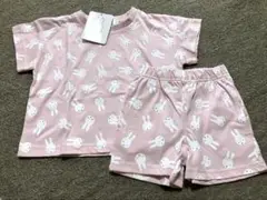 ミッフィー セットアップ