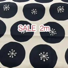 SALE 2m あんぱんドット ブラックドット オックス