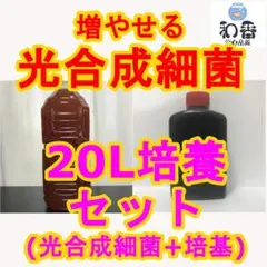 【簡単培養】 光合成細菌PSB20L培養SET クロレラ好相性AV