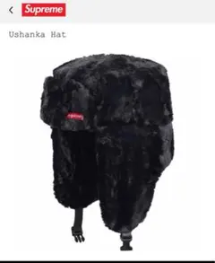 2025年最新】ushanka supremeの人気アイテム - メルカリ