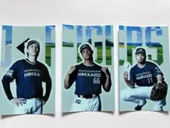 ステッカー 限定 非売品 北海道日本ハムファイターズ 日ハム 宮西 万波 伊藤