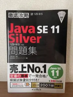 2025年最新】javasilverの人気アイテム - メルカリ