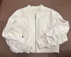 Item thumbnail for item e82eba25-3184-4a59-85c9-ddf9e441823a