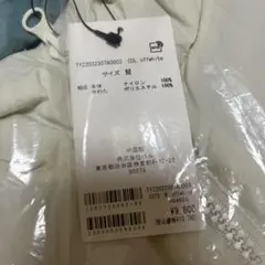 Item thumbnail for item d0db7341-0bed-47fe-a083-255825e06f75