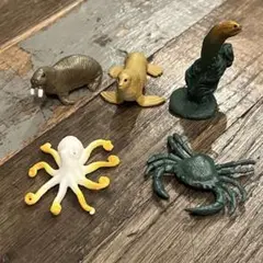 動物　海の生き物　フィギュア　5体セット