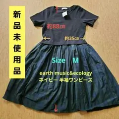 Item thumbnail for item 4e72894c-149d-49de-80c1-2795629991a4