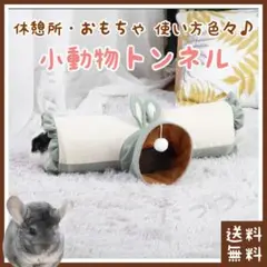 Item thumbnail for item 7b99ee93-6218-438e-b705-a755ddf51f5e