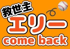 ジャイアンツ　応援ボード　エリエヘルナンデス