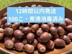 Item thumbnail for item 8055c207-0a27-481c-8f22-85d438622bd4