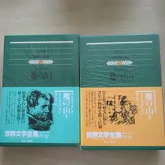 トーマス・マン 魔の山 I・II 全2巻セット