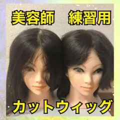 カットウィッグ 美容師 2体セット