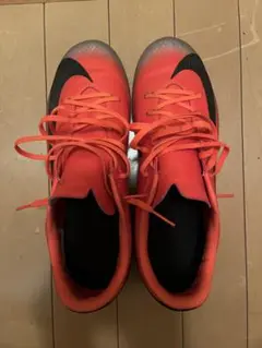 Item thumbnail for item e9c5cbdb-aa3b-4800-8fdf-2305e1017d78