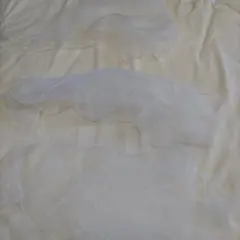 透明タオル　1回使い