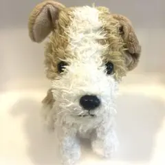 PUPS! パプス！ ぬいぐるみ　Ｓ　ジャックラッセルテリア くたくた