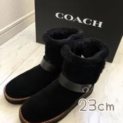 Item thumbnail for item 9cc2b529-afcb-455b-a6f2-0c3656a93031