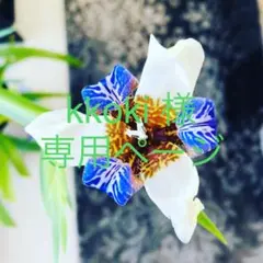 kkoki 様専用ページ