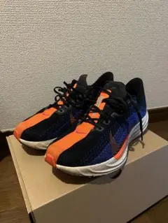 Nike ペガサスプラス 26cm