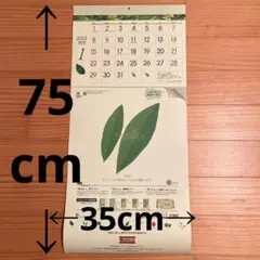 2023 企業壁掛けカレンダー 3ヶ月カレンダー