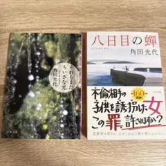 それもまたちいさな光 角田光代