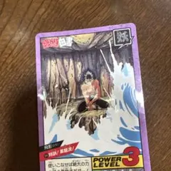 幽遊白書 飛影 カードダス バンダイ 隠れプリズム