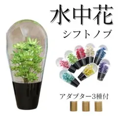 Item thumbnail for item 8f370d07-802d-4bba-9122-500ee5e2d530