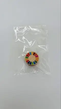 木製SDGsバッジ　マグネット式