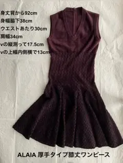 ALAIA アライア 厚手 ワンピース 36 バーガンディ 膝丈フレアワンピース