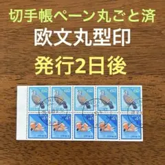 Item thumbnail for item 1052118f-d81c-42d0-b988-b07288b6886a