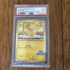 ピカチュウ 2024 イラストコンテスト PROMO PSA 9