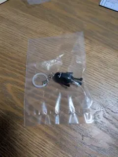 graniph めじるしアクセサリー ビューティフルシャドー