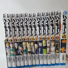 ハイキュー!!ショーセツバン　全巻＋ コンプリートガイドブック 排球本!