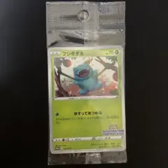 ポケモンカード　フシギダネ　イラストコンテスト　2022 プロモ　未開封