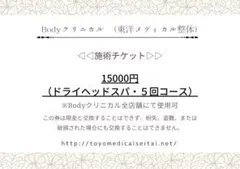 Bodyクリニカル 5回分回数券 15000円分チケット ヘッドスパ 整体