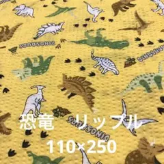 恐竜　リップル　110×250