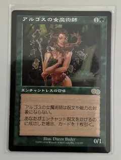 MTG アルゴスの女魔術師 日本語版 サインド ２枚 MTG アルゴスの女魔術師 日本語版 サインド 2枚