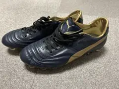 プーマ パラメヒコライト12 HG JP