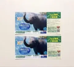富士サファリパークチケット無料券　2枚　メルカリ便　24時間以内発送　匿名配送