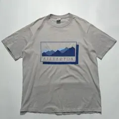 80s ジャージーズ USA製 ビンテージアートT L グレー系シングル6559