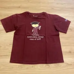 【レア】Champion　Tシャツ　size110～120　ハーバード大学