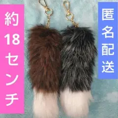 Item thumbnail for item 4199cd7e-8dc9-47ac-90ee-b56cad4bb27f