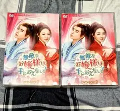 ⭐呉希沢君主演⭐【無敵なお嬢様は手におえない！】 DVD-BOX　全話