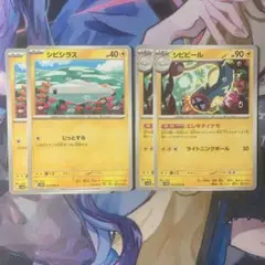 シビシラス、シビビール(エレキダイナモ) ダブルセット