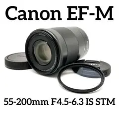 Item thumbnail for item 090db306-f8e7-4bd4-8215-7d435d080941