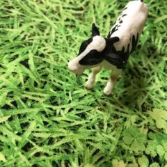 こまめ(一部休業中)様　専用です。