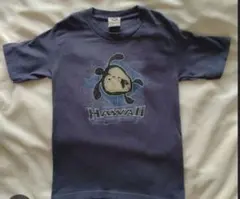 ハワイTシャツ　120 ホヌ　ウミガメ　半袖　hawaii ブルー　aloha