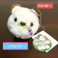 【新品タグ付き】ふくふくシマエナガ カラフルフラワー VMC