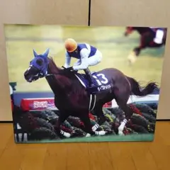 ダイワスカーレット　秋華賞　優勝パネル