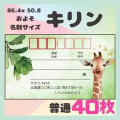 【キリン】宛名シール　差出人シール　普通サイズ　40枚　シンプル　動物